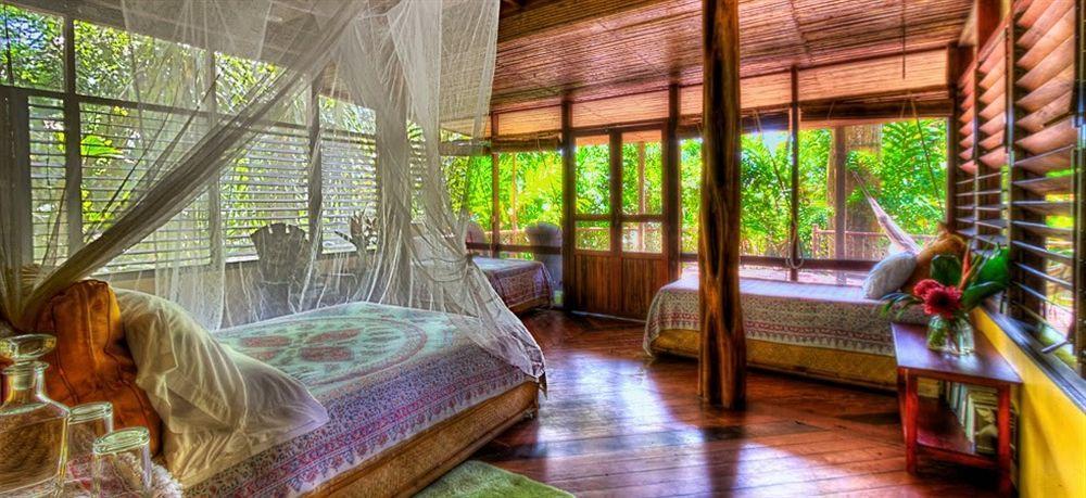 Iguana Lodge Beach Resort Puerto Jiménez Eksteriør billede