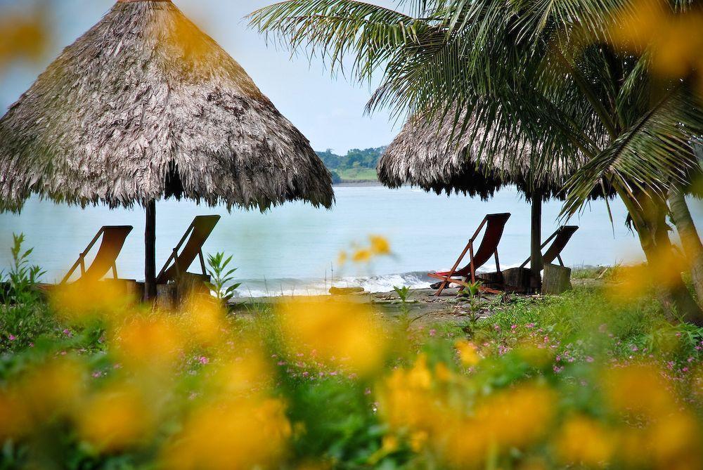 Iguana Lodge Beach Resort Puerto Jiménez Eksteriør billede