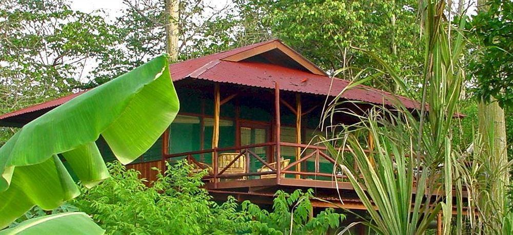 Iguana Lodge Beach Resort Puerto Jiménez Eksteriør billede