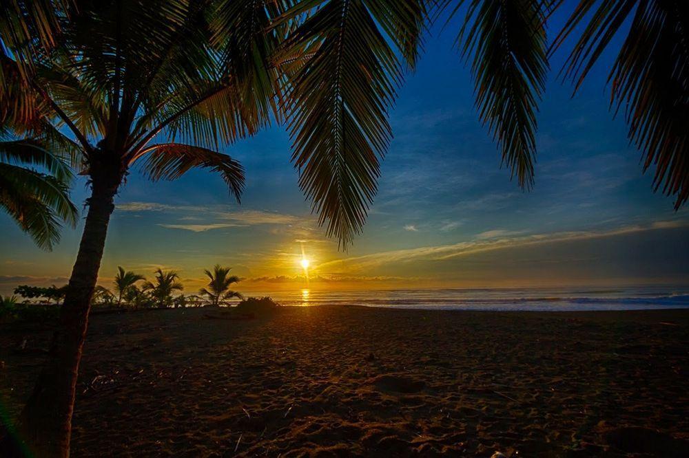 Iguana Lodge Beach Resort Puerto Jiménez Eksteriør billede