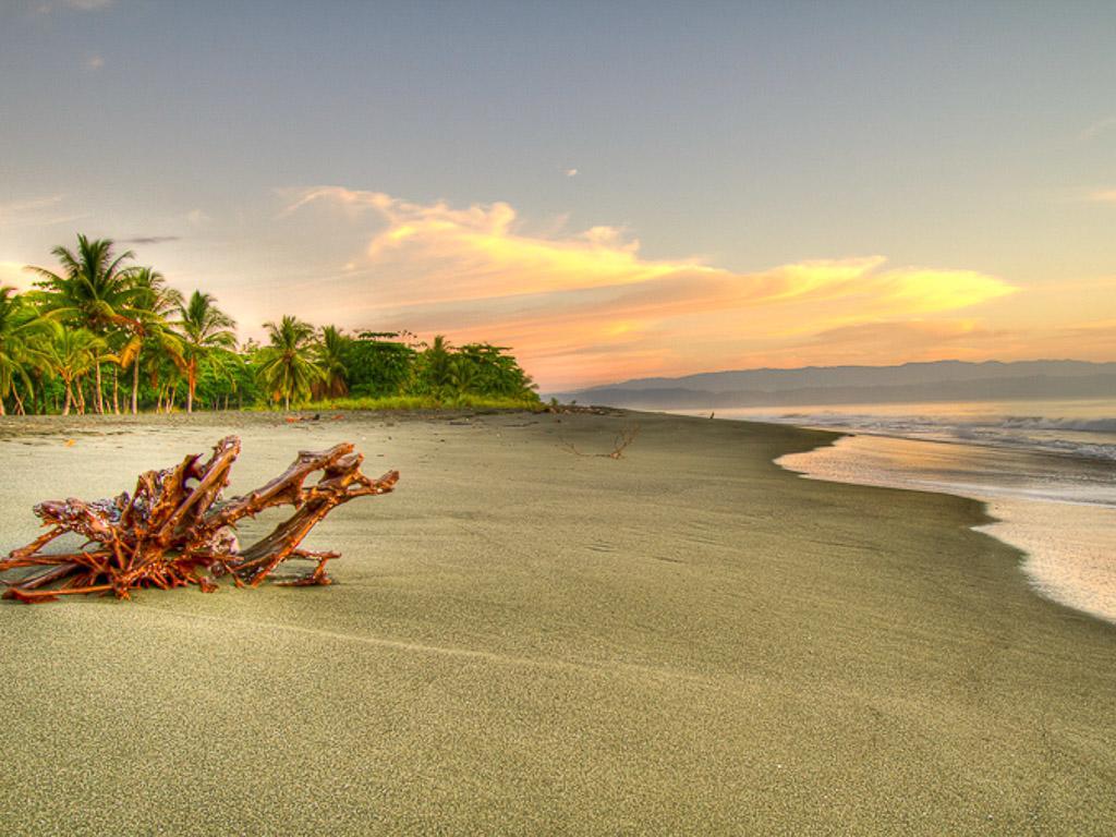 Iguana Lodge Beach Resort Puerto Jiménez Eksteriør billede